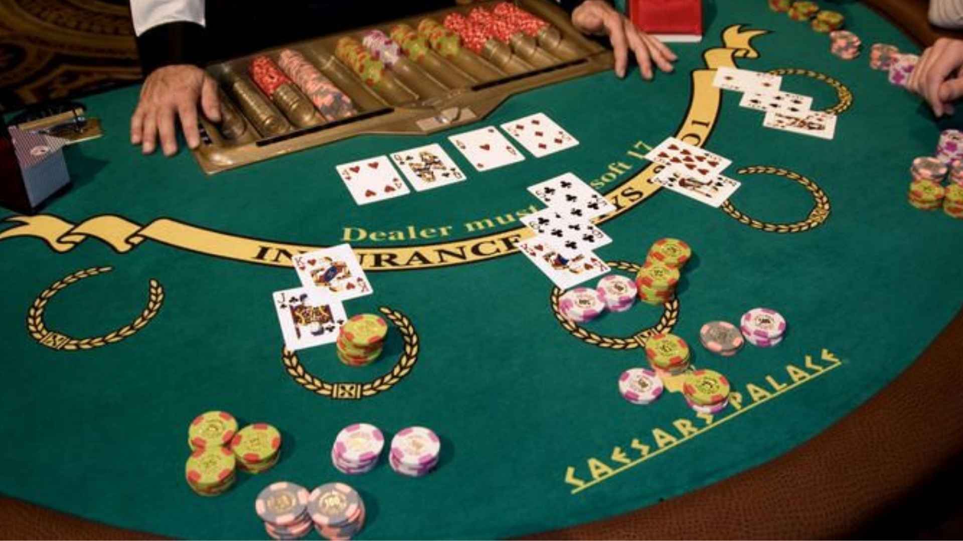 Live Casino Entertainment with Modern Interactive Tools
